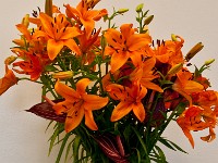 DSC02755