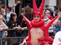 DSC07334