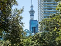 DSC02639  Auckland