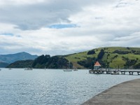 DSC03097  Akaroa
