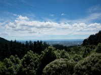DSC03115  The Port Hills, Christchurch