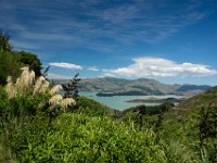 DSC03117  The Port Hills, Christchurch