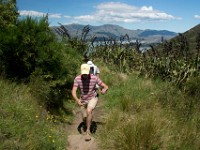 DSC03120  The Port Hills, Christchurch