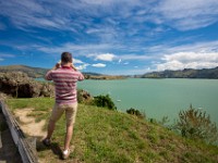DSC03162  The Port Hills, Christchurch
