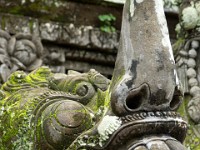 DSC03345  Bali