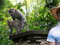 DSC03416  Bali