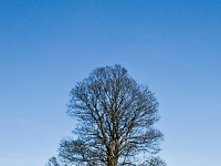 DSC05463 2