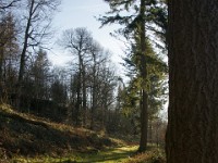 DSC05503