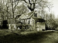 DSC05519 2