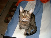 DSCF0261