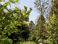 DSC08221