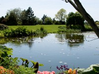 DSC08242