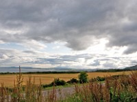 DSC03518
