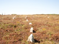 DSC03651  Ancient Cairns, near Wick, Scotland : Caithness, Scotland, The Pictish Cairns