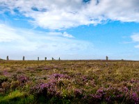DSC03814 : Scotland, The Orkneys, The Ring of Brodgar