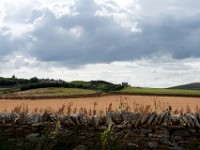 DSC04269