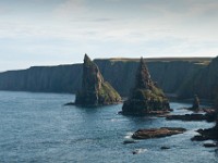 DSC04315  Duncansby Stacks : Duncansby Stacks, John O'Groats, Scotland