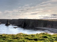 DSC04323 4 5