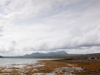 DSC04356