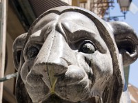 sicily-00147 : Sicily