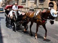 sicily-00149 : Sicily
