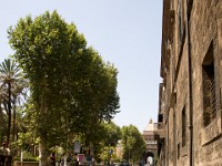 sicily-00210 : Sicily