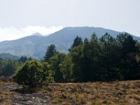 sicily-00596 : Sicily