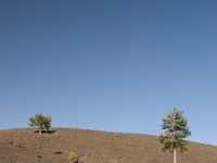 sicily-00622 : Sicily