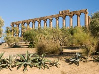 sicily-00877 : Sicily