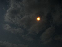 DSC06429