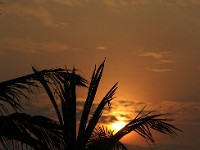 DSC06747