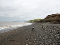 DSC05448  Wales, near Aberystwyth and environs