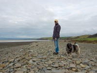 DSC05463  Wales, near Aberystwyth and environs