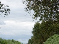 DSC06983
