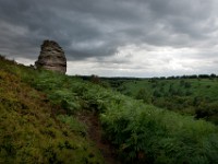 DSC07136