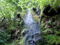DSC07328