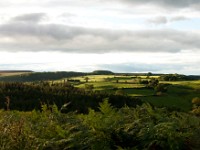 DSC07405