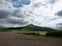 DSC07539